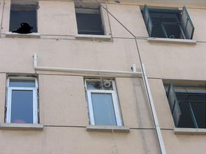 建筑與家居材料的革新與發展趨勢