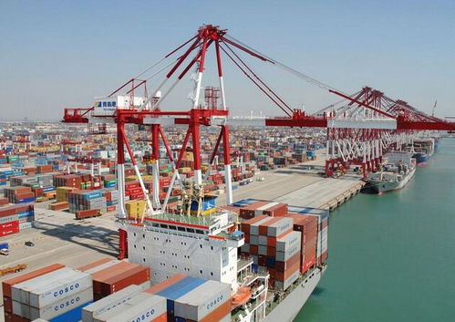 上海機(jī)場國際快遞進(jìn)口報(bào)關(guān)與代理服務(wù)詳解